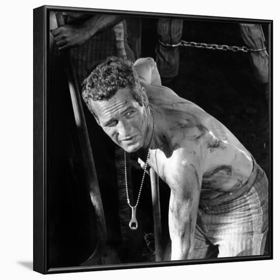 Cool Hand Luke, Paul Newman , 1967-null-Framed Photo