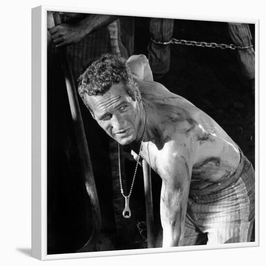 Cool Hand Luke, Paul Newman , 1967-null-Framed Photo