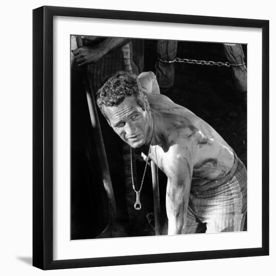 Cool Hand Luke, Paul Newman , 1967-null-Framed Photo