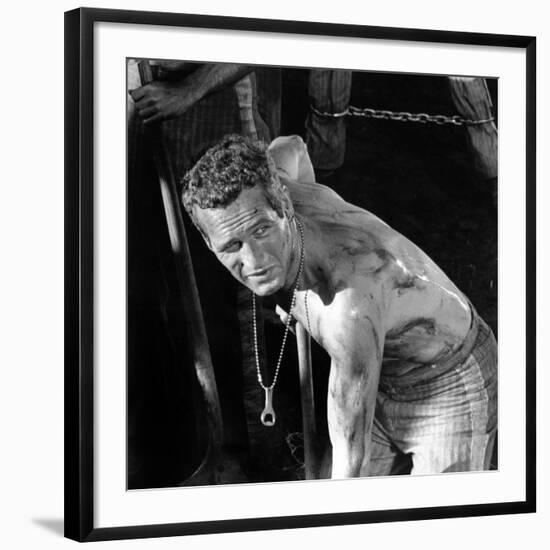 Cool Hand Luke, Paul Newman , 1967-null-Framed Photo