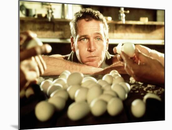 Cool Hand Luke, Paul Newman, 1967-null-Mounted Photo