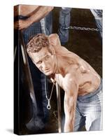 Cool Hand Luke, Paul Newman, 1967-null-Stretched Canvas