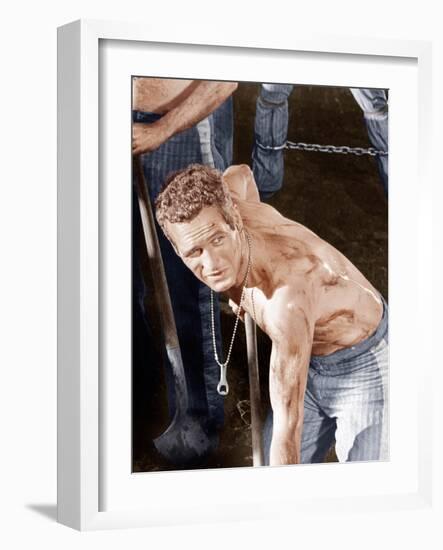 Cool Hand Luke, Paul Newman, 1967-null-Framed Photo