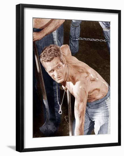 Cool Hand Luke, Paul Newman, 1967-null-Framed Photo