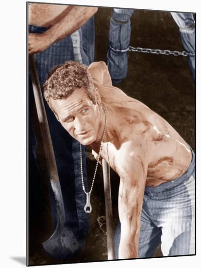 Cool Hand Luke, Paul Newman, 1967-null-Mounted Photo