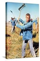 Cool Hand Luke, Paul Newman, 1967-null-Stretched Canvas