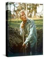 Cool Hand Luke, Paul Newman, 1967-null-Stretched Canvas