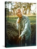 Cool Hand Luke, Paul Newman, 1967-null-Stretched Canvas