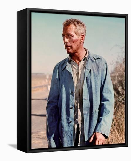 Cool Hand Luke-null-Framed Stretched Canvas