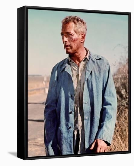 Cool Hand Luke-null-Framed Stretched Canvas