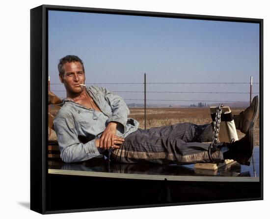 Cool Hand Luke-null-Framed Stretched Canvas