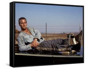 Cool Hand Luke-null-Framed Stretched Canvas