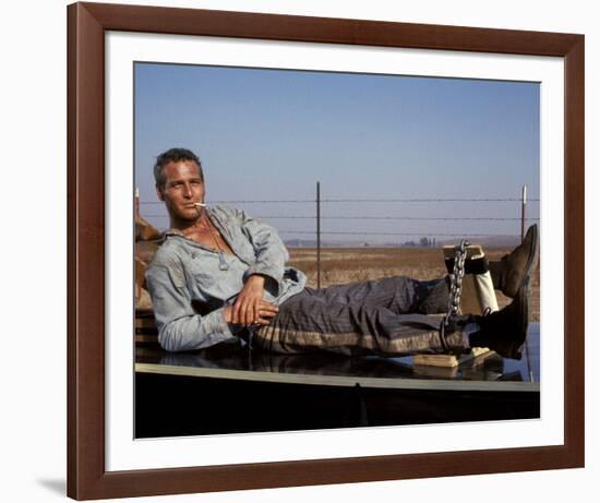 Cool Hand Luke-null-Framed Photo