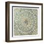 Cool Mosaic I-Aimee Wilson-Framed Art Print