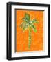 Cool Palm I-Nicholas Biscardi-Framed Art Print