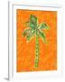 Cool Palm I-Nicholas Biscardi-Framed Art Print