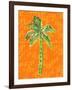 Cool Palm I-Nicholas Biscardi-Framed Art Print