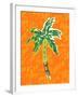 Cool Palm II-Nicholas Biscardi-Framed Art Print