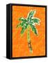 Cool Palm II-Nicholas Biscardi-Framed Stretched Canvas