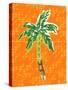 Cool Palm II-Nicholas Biscardi-Stretched Canvas