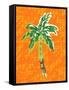 Cool Palm II-Nicholas Biscardi-Framed Stretched Canvas