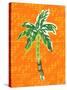 Cool Palm II-Nicholas Biscardi-Stretched Canvas