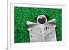 Cool Pug Dog-Javier Brosch-Framed Photographic Print