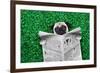 Cool Pug Dog-Javier Brosch-Framed Photographic Print