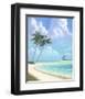 Cool Reflections-Rick Novak-Framed Art Print