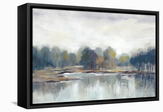 Cool Spring Day Neutral-Silvia Vassileva-Framed Stretched Canvas