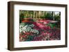 Cool Spring-Colette2-Framed Photographic Print