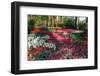 Cool Spring-Colette2-Framed Photographic Print