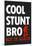 Cool Stunt Bro Skateboarding Poster-null-Mounted Poster