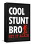 Cool Stunt Bro Skateboarding Poster-null-Framed Stretched Canvas