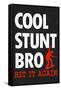 Cool Stunt Bro Skateboarding Poster-null-Framed Stretched Canvas