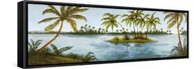 Cool Tropics I-Michael Marcon-Framed Stretched Canvas