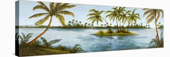 Cool Tropics I-Michael Marcon-Stretched Canvas