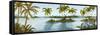 Cool Tropics II-Michael Marcon-Framed Stretched Canvas