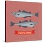 Cool Vector Pacific Hake Fish Illustration in Flat Design. Important Commercial Fish Design Element-Mascha Tace-Stretched Canvas
