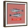 Cool Vector Pacific Hake Fish Illustration in Flat Design. Important Commercial Fish Design Element-Mascha Tace-Framed Art Print