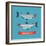 Cool Vector Wild Salmon Fish Icon in Flat Design. Seafood Decorative Design Element-Mascha Tace-Framed Art Print