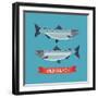 Cool Vector Wild Salmon Fish Icon in Flat Design. Seafood Decorative Design Element-Mascha Tace-Framed Art Print