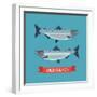 Cool Vector Wild Salmon Fish Icon in Flat Design. Seafood Decorative Design Element-Mascha Tace-Framed Art Print