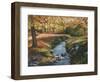 Cool Water-Lene Alston Casey-Framed Art Print