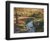 Cool Water-Lene Alston Casey-Framed Art Print