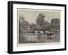 Cool Waters-null-Framed Giclee Print