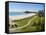 Coolangatta Beach and Town Panoramic, Gold Coast, Queensland, Australia, Pacifc-Matthew Williams-Ellis-Framed Stretched Canvas