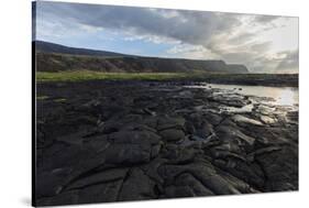 Cooled Lava Flow Creates Complex Patterns Along Shoreline, Big Island, Hawaii-James White-Stretched Canvas