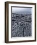 Cooled Lava from Recent Eruption, Kilauea Volcano, Hawaii Volcanoes National Park, Island of Hawaii-Ethel Davies-Framed Photographic Print