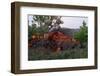 Cooling Lava from Mount Etna-Vittoriano Rastelli-Framed Photographic Print